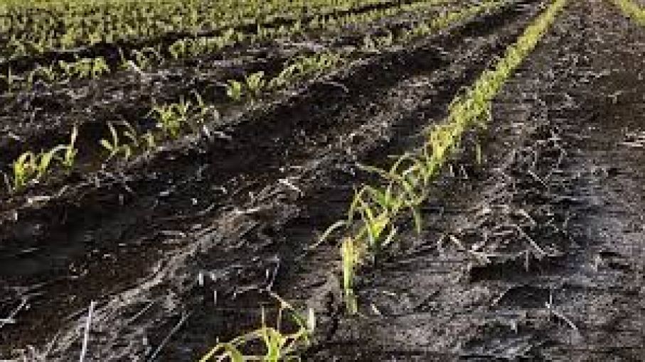 Alerta por la Triple Niña, el fenómeno que puede provocar grandes sequías