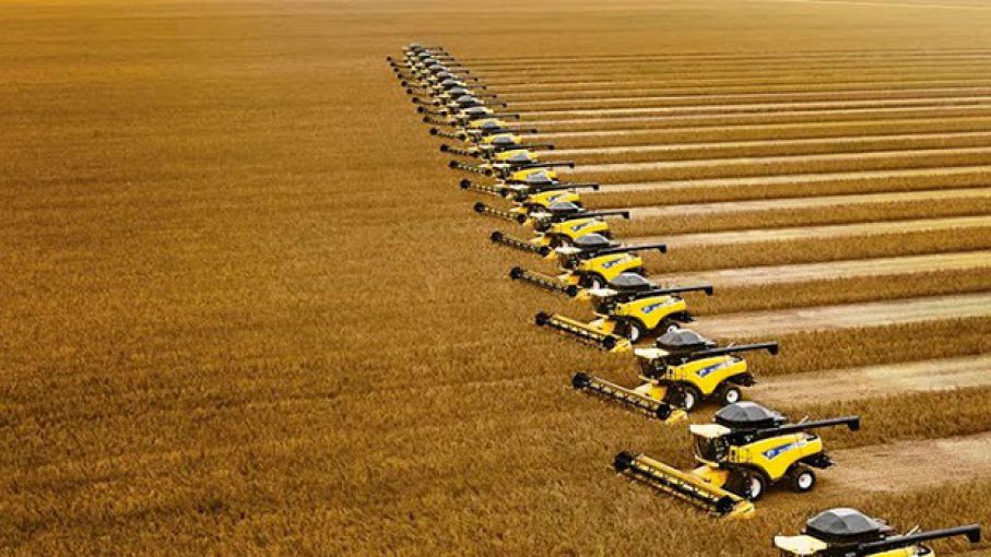 Los campos de soja de Brasil mantienen su productividad pese a la sequía -  Agrolatam