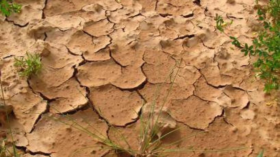 Cambio climático: el Consejo Agroindustrial contribuirá en la elaboración de la estrategia para Argentina