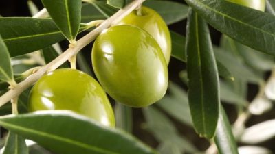 San Juan destina más de $12.400 millones para fortalecer el sector agrícola
