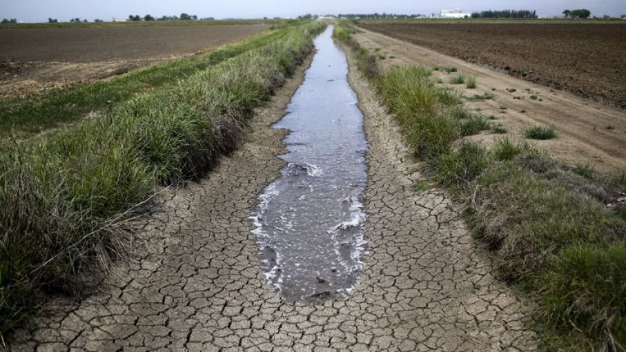 Acuerdan declarar la emergencia agropecuaria para Santa Cruz, Córdoba y Formosa