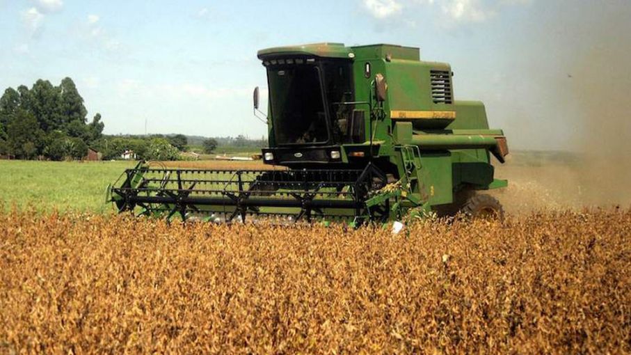 Finalizó cosecha de soja en Entre Ríos con una producción de 1,84 millones de toneladas