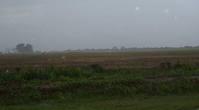 Se esperan nuevas lluvias para reponer el déficit hídrico que condiciona la campaña gruesa