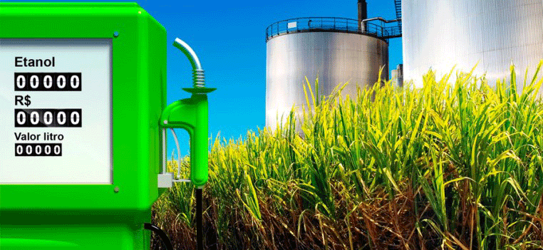 La industria del bioetanol alcanzó nuevos máximos en 2024