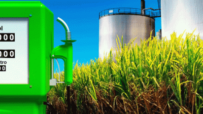 La industria del bioetanol alcanzó nuevos máximos en 2024