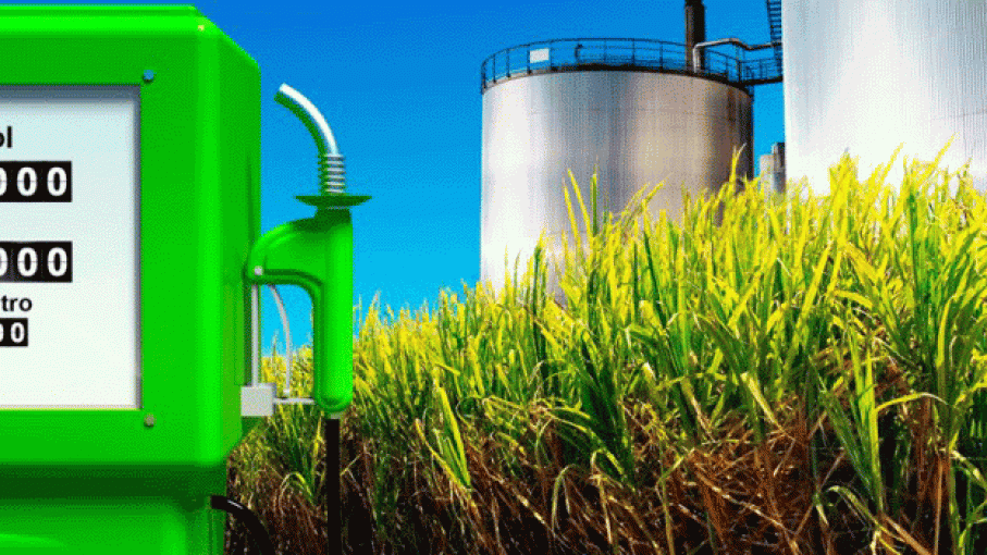 El bioetanol es el remedio contra la escasez de naftas y la pérdida de divisas