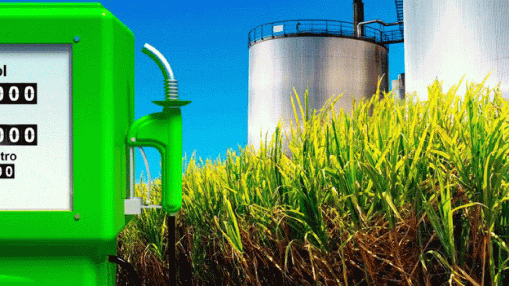 La industria del bioetanol alcanz nuevos mximos en 2024