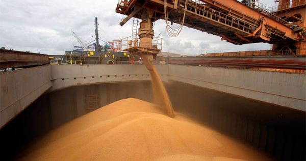 La soja argentina tendrá niveles récord de exportación en 2019 - Agrolatam
