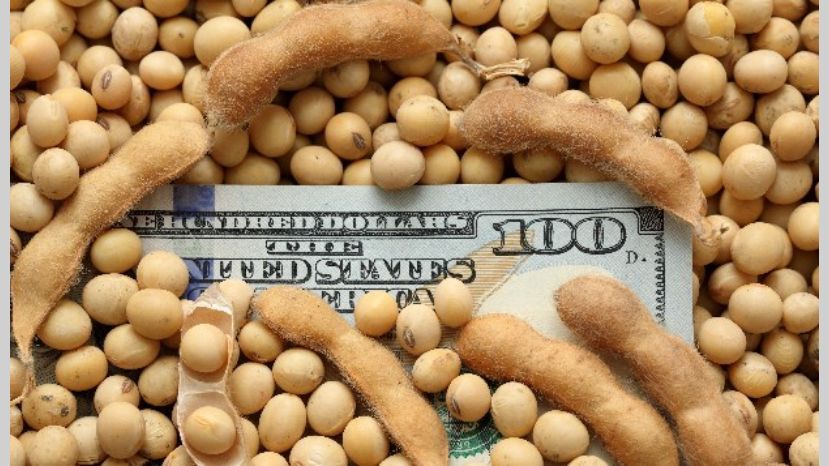Por retenciones el Estado recauda $ 1,12 billones en las tres ediciones del dólar soja