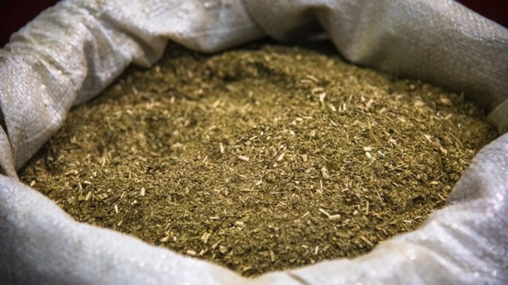 Aument casi un 10% el consumo de yerba mate