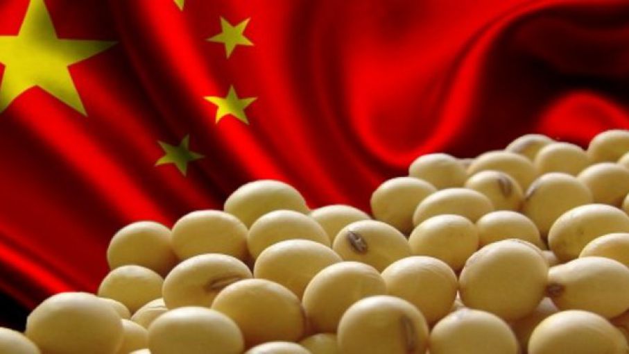 China : prevén que las importaciones alcanzarán un máximo de 100 millones de toneladas en los próximos años 