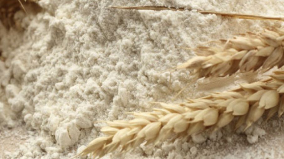 Oficializan un fideicomiso para las ventas internas de harina y fideos