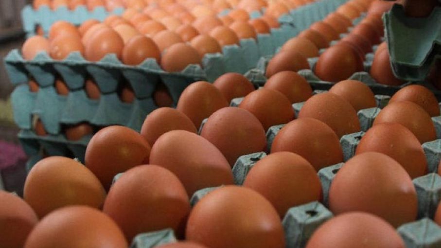Huevos más caros por la gripe aviar: la situación en Argentina