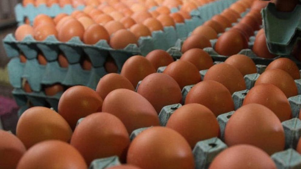 Alertan por el impacto del contrabando de huevos: riesgos econmicos y sanitarios