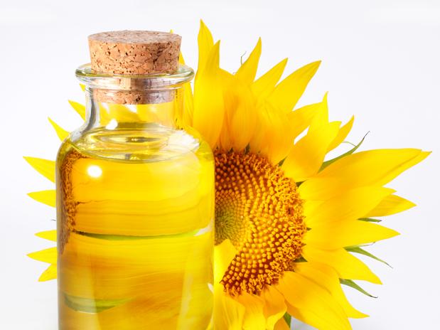 Argentina bate récord en exportación de aceite y subproductos de girasol después de 18 años
