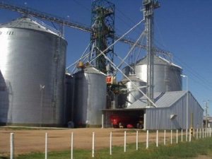 Clausuraron plantas biocombustibles, soja, maíz y trigo por irregularidades
