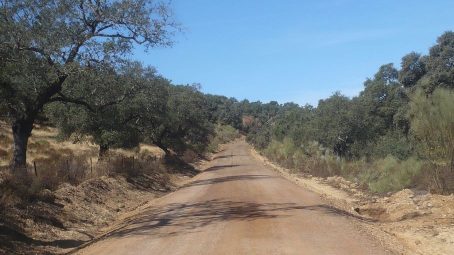 Licitaron las primeras seis obras de mejoramiento de caminos rurales