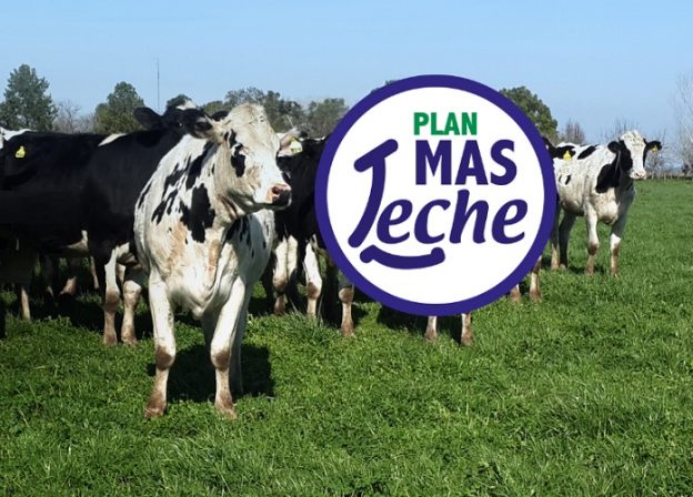 'Más Leche', el sitio web de Mastellone