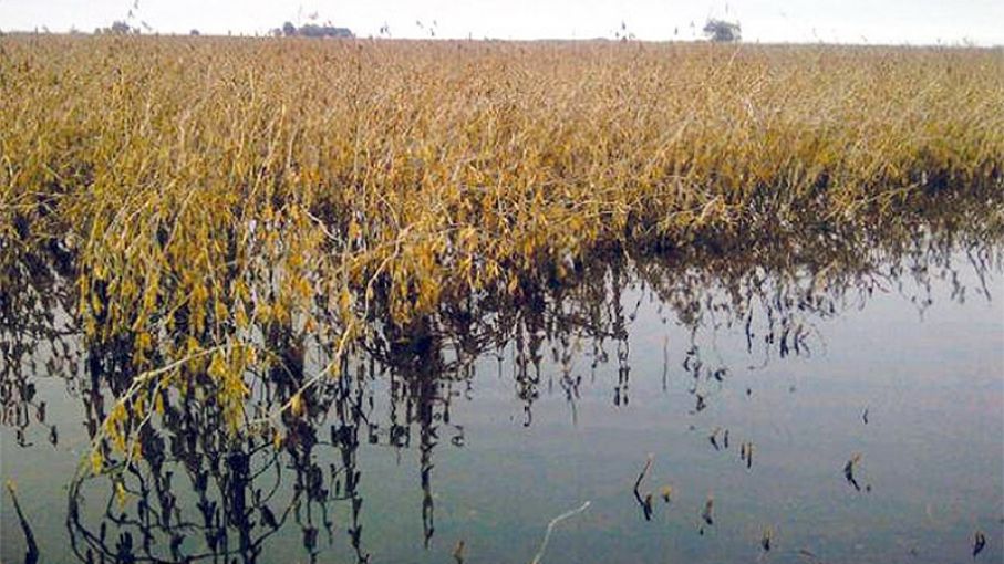 El agua comenzó a operar en el mercado de futuros de Estados Unidos