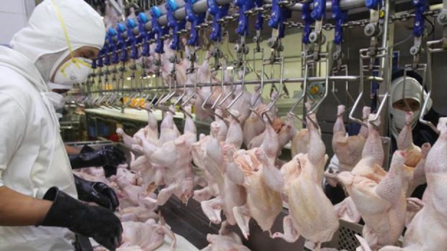 Aumento acordado para los trabajadores avícolas
