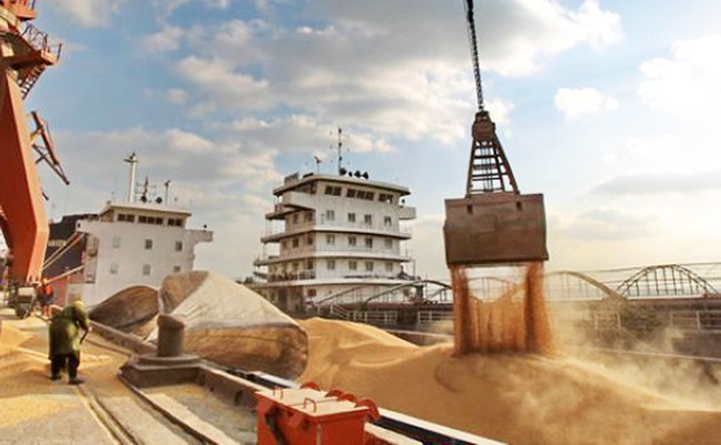 Por la merma en la cosecha, autorizan una mayor importación de soja 