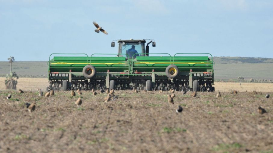 La falta de lluvias complica la siembra del trigo en el centro y norte de Santa Fe