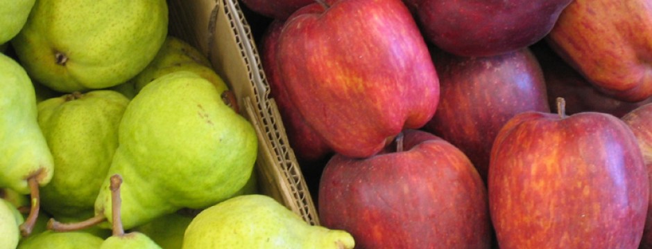 El Senasa publicó el calendario oficial 2023-2024 para la cosecha de peras y manzanas