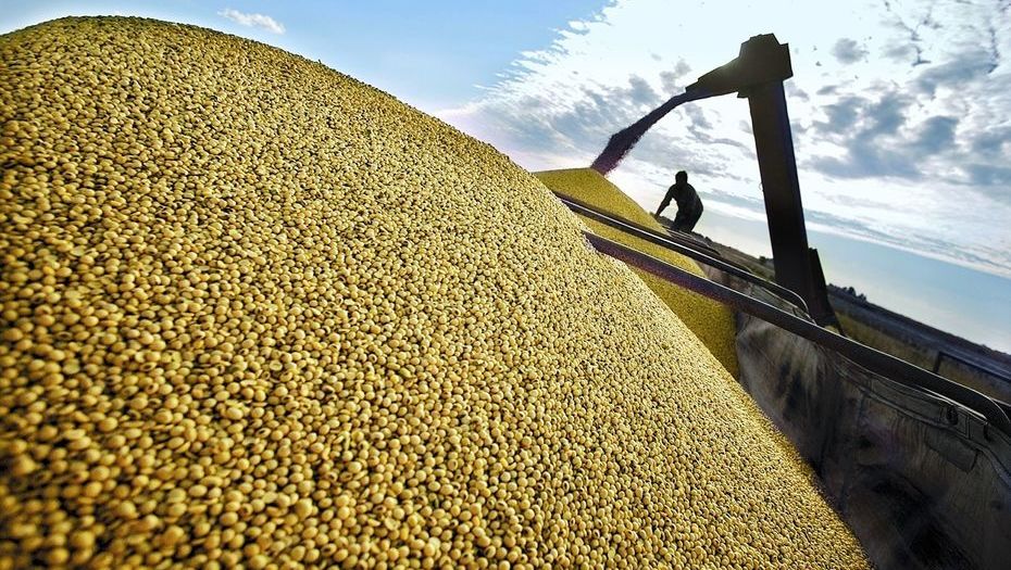 Retenciones a la soja deben liquidarse en 5 días desde la aprobación de DJVE