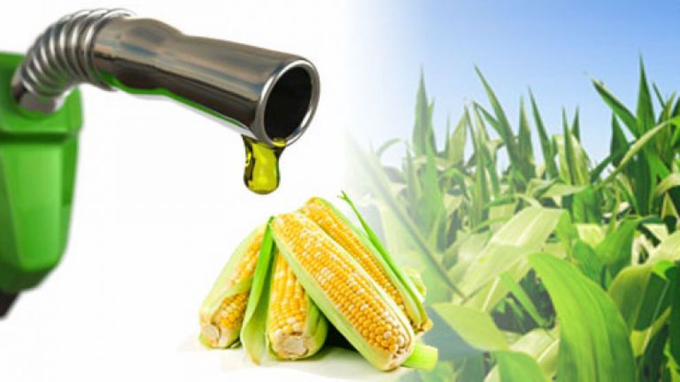 El etanol de maz contina su rpida expansin en Brasil 