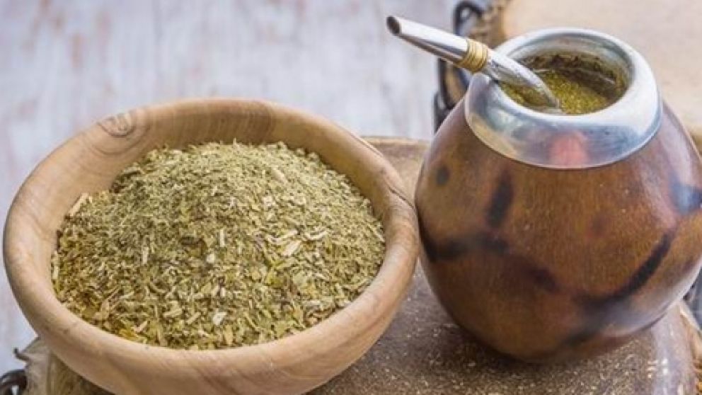 Analizan la posibilidad de aplicar bioinsumos en la yerba mate