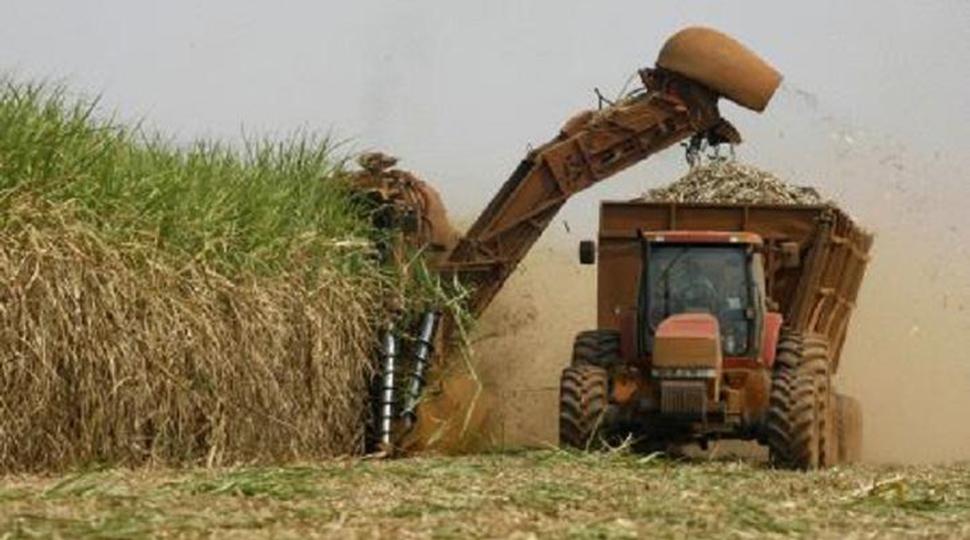 La zafra azucarera presenta un avance del 97% y estiman que concluirá a principios de noviembre