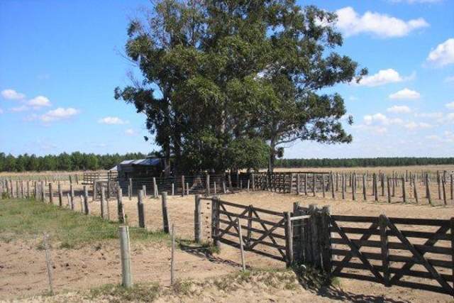 Municipios bonaerenses reflotan aumentos en la tasa vial y generan malestar en productores
