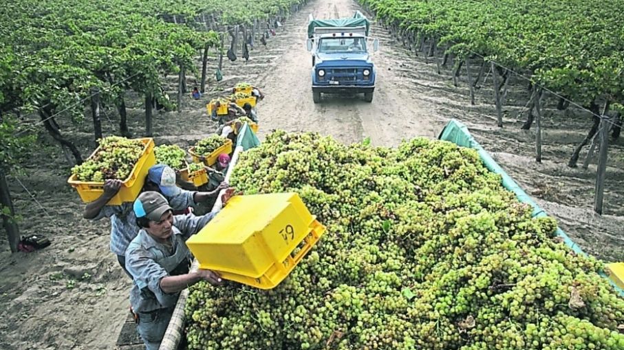 Las economías regionales aportaron exportaciones por más de USD 8.000 millones