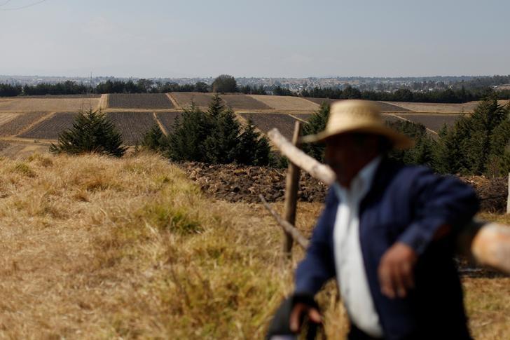 FAO y Ocde proyectan un alto crecimiento de la producción agropecuaria de América latina