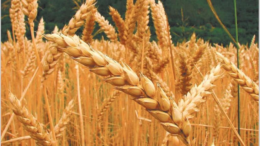  Domínguez y el gobernador Zamora alentaron el desarrollo tecnológico en el agro