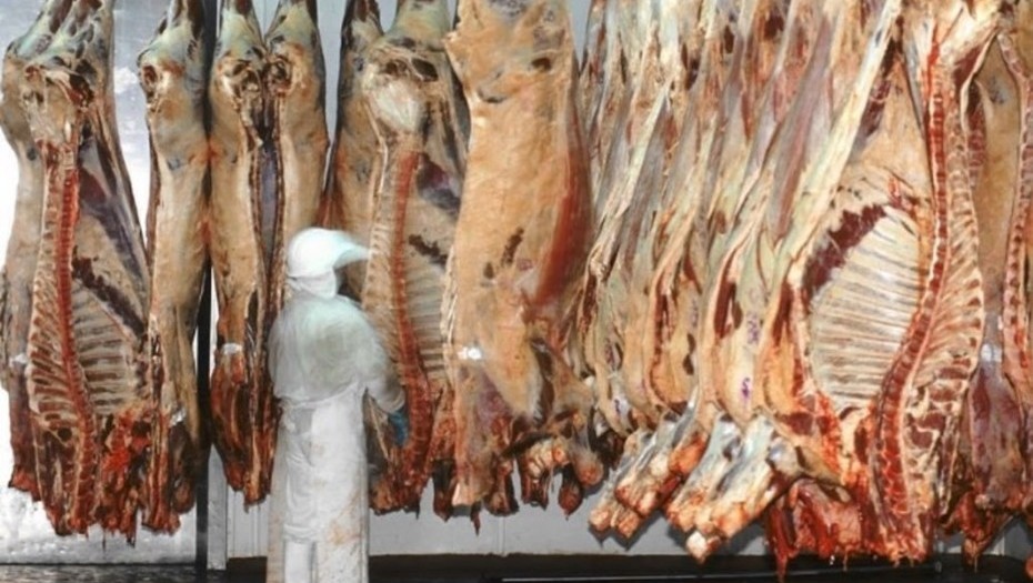 Exportaciones de carne vacuna: una demanda firme en un mercado en alza