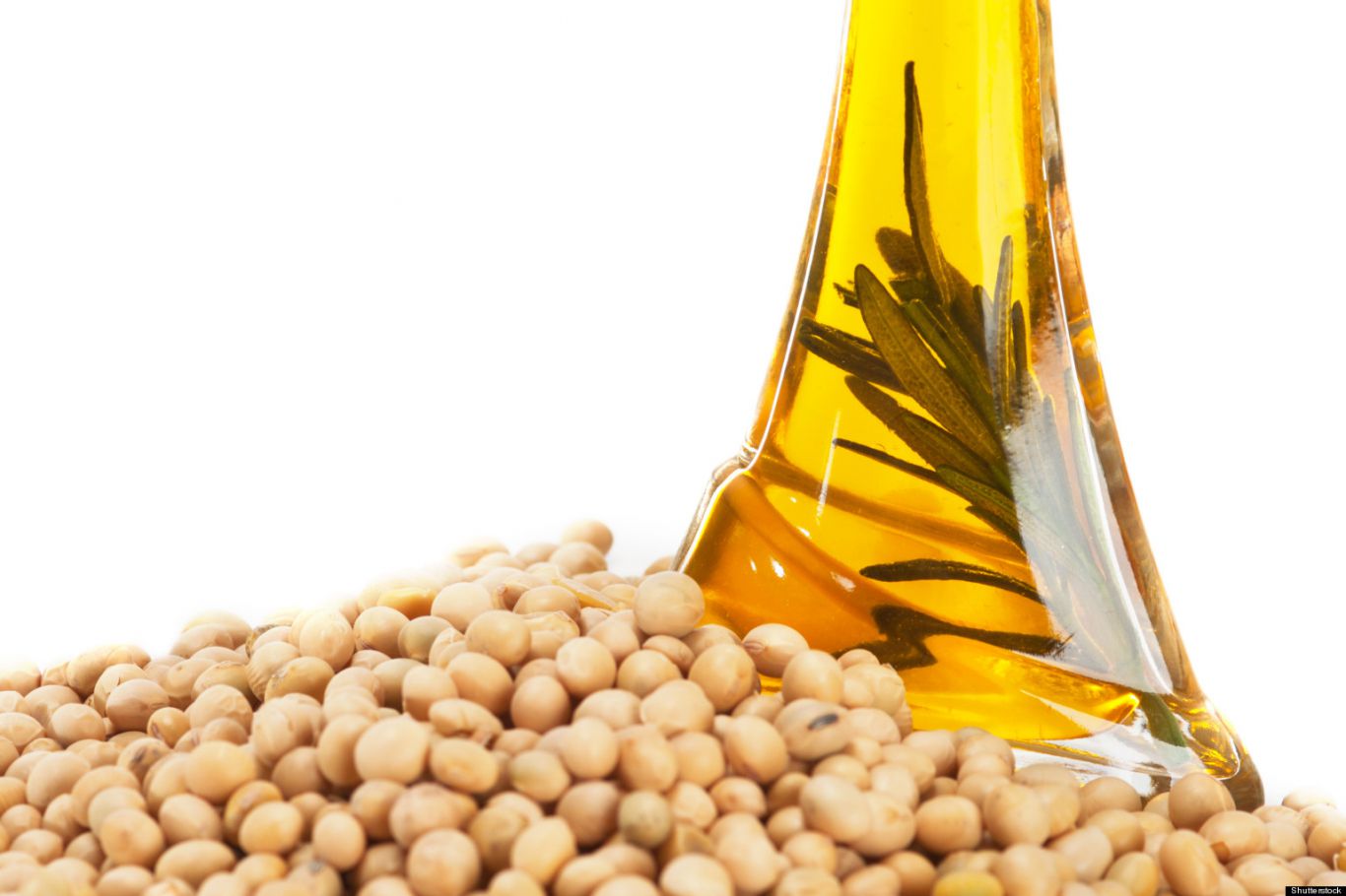 Aumenta la demanda mundial de aceites y Argentina registra embarques superiores a la media