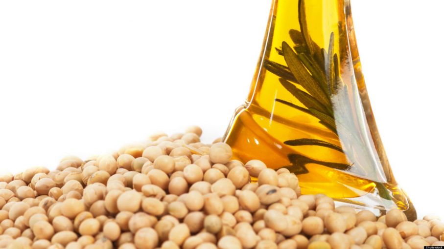 Soja : la industria del aceite atraviesa el peor momento en 13 años