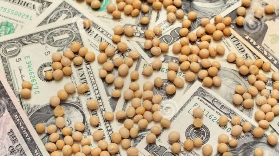 Para la Mesa de Enlace, el dólar soja genera "tensiones" dentro del sector