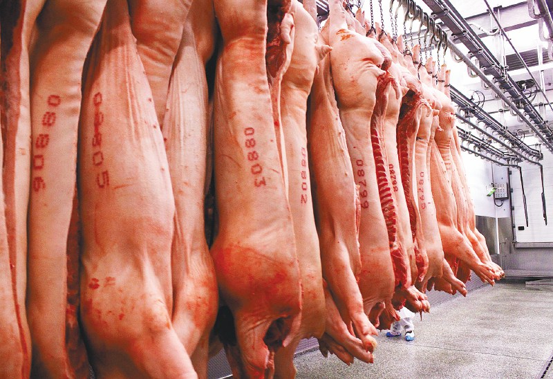 Octubre: Relativa estabilidad en la producción de carne de cerdo a pesar de la baja en los pesos 