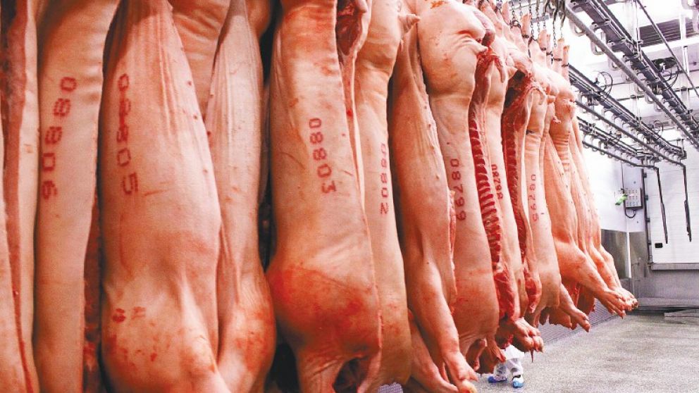 Impulsan  produccin y comercializacin de carne y derivados porcinos