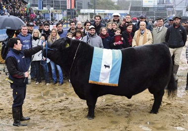 Angus tiene bicampeón