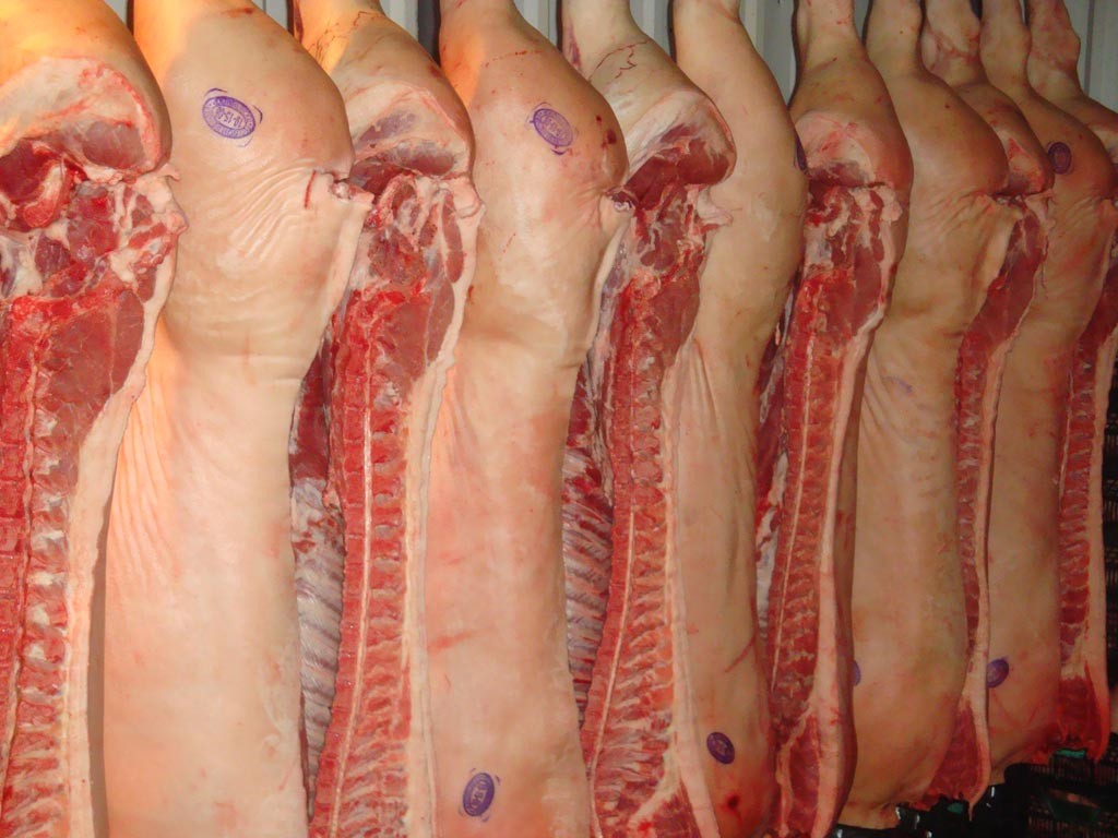 Se acentuó la escalada de las importaciones de carne de cerdo en septiembre de 2024