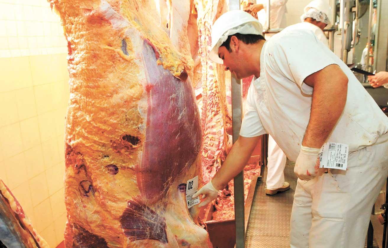 La faena de vacunos en noviembre fue la más alta en más de 10 años, según el Rosgan