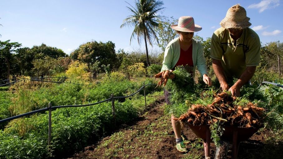 Destacan la "recuperación de la visión estratégica de la agricultura familiar y campesina"