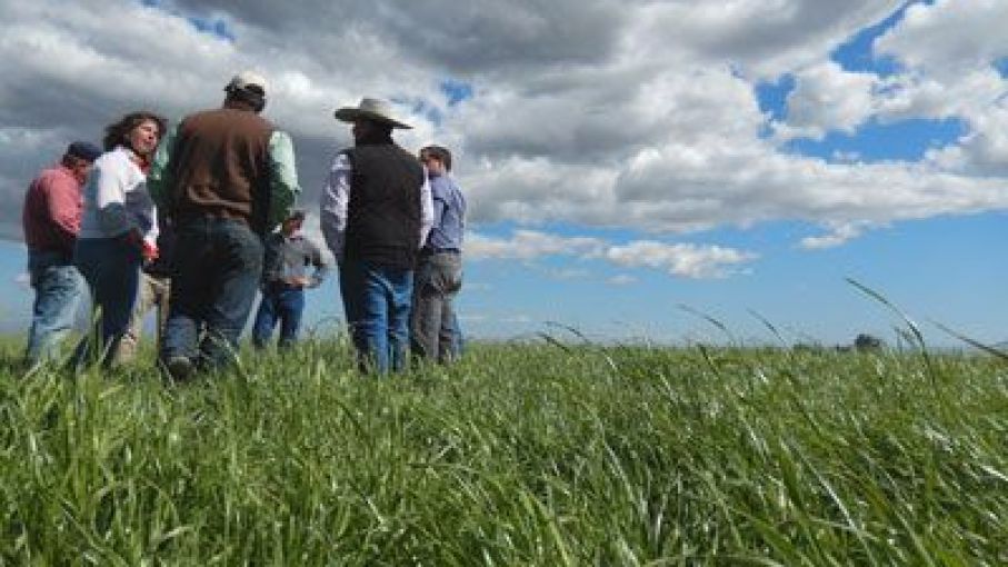 "No queremos más campañas de desprestigio que intenten demonizar a los productores"