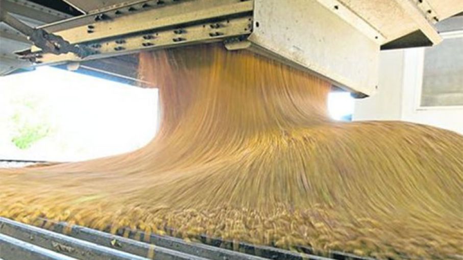 Exportaciones de productos primarios y molienda de cereales tuvieron el mejor abril de la historia