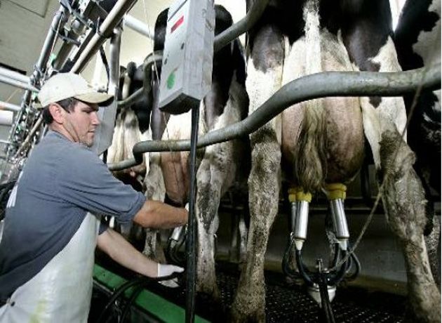 Tras la medida de Sergio Massa, los tamberos piden tener un "dólar leche"