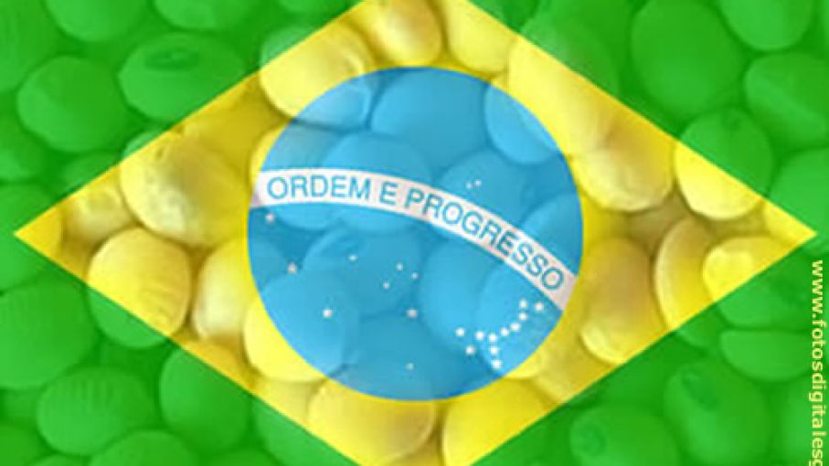 Cosecha de soja avanza y se mantiene por encima del promedio en Brasil