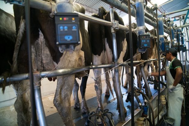 Más de 1.000 tambos cerraron en el país desde finales del 2023